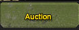 Jersey Auction